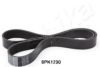 ASHIKA 112-8PK1230 V-Ribbed Belts